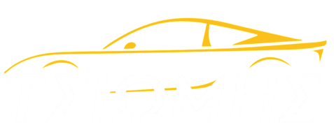 logo e-metavivasi